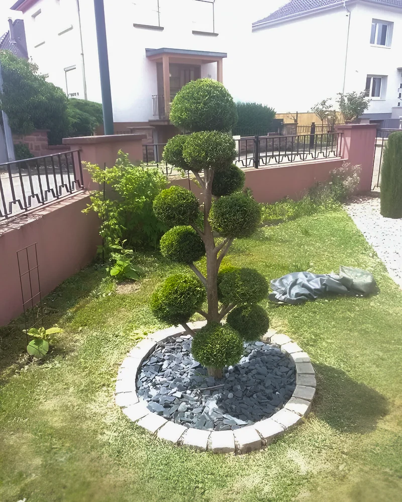 Jardin Foret Strubel Paysagiste Molsheim Amenagement Enrochement Et Creation Jardin Foret Strubel Paysagiste Molsheim Amenagement Enrochement Et Creation